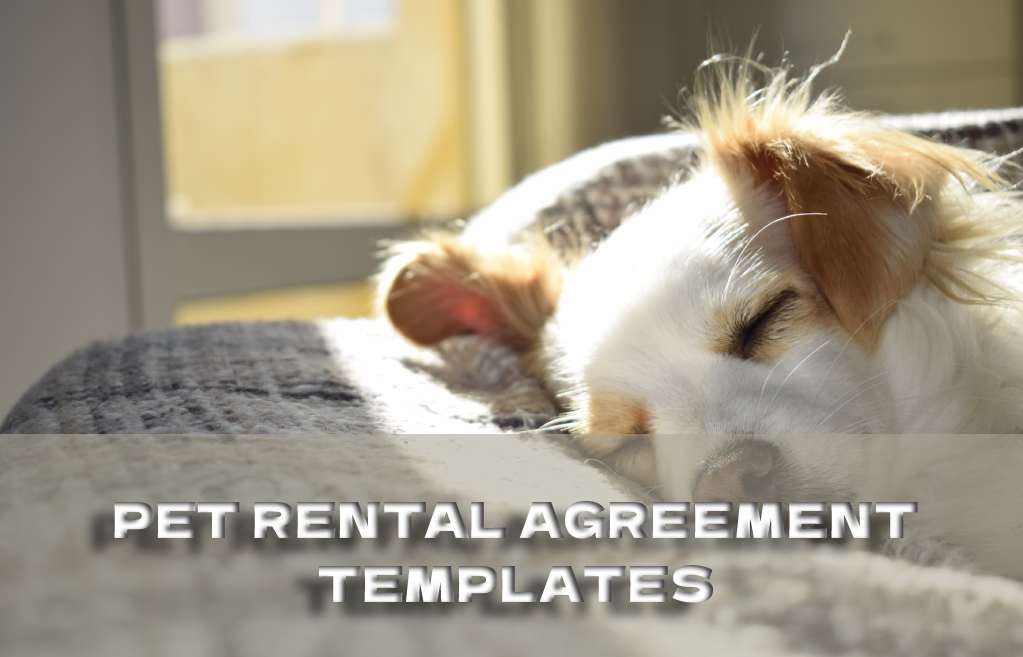 Pet Rental Agreement & Addendum Free Templates